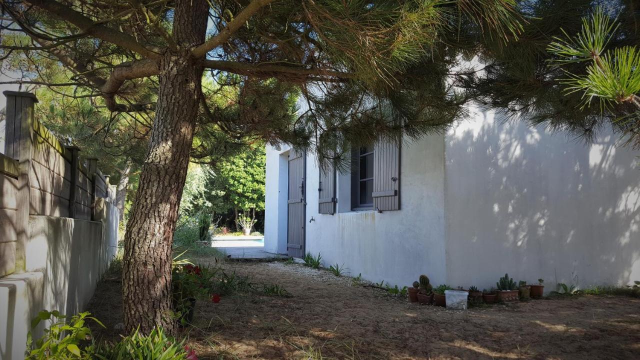 Sea-Snow Guest Houses Talmont-Saint-Hilaire Luaran gambar